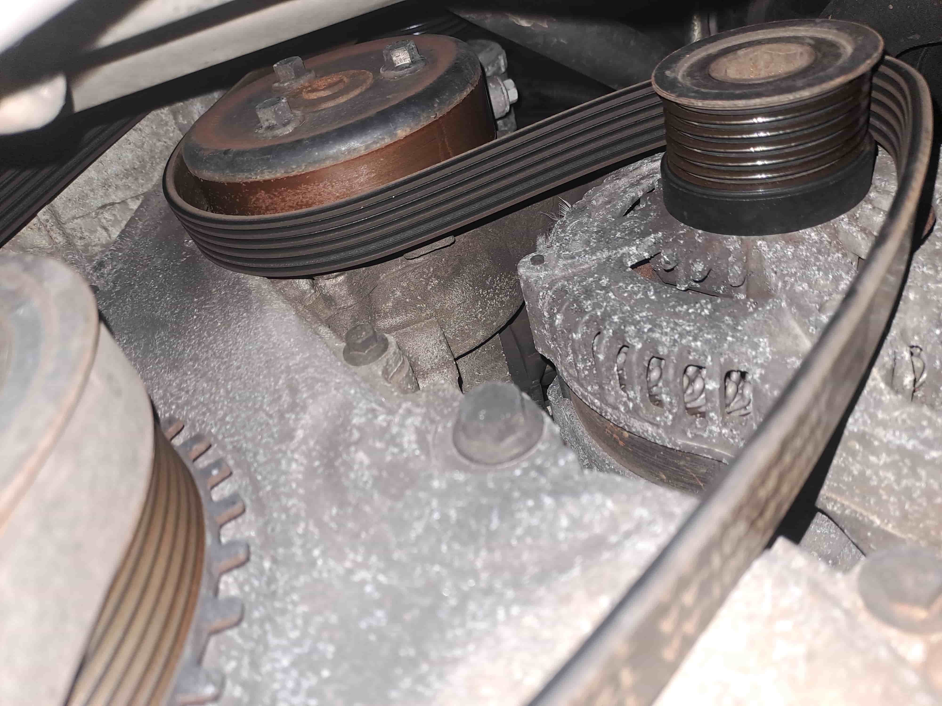 Serpentine Belt