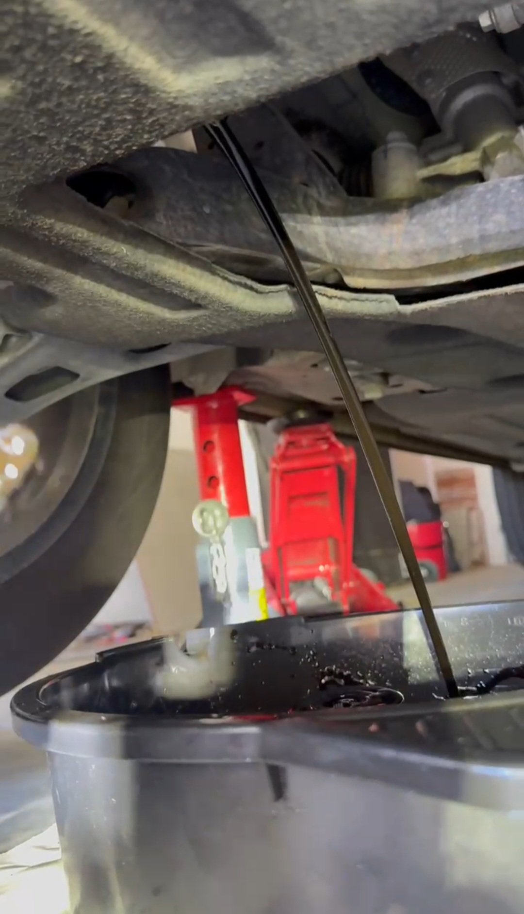 Serpentine Belt